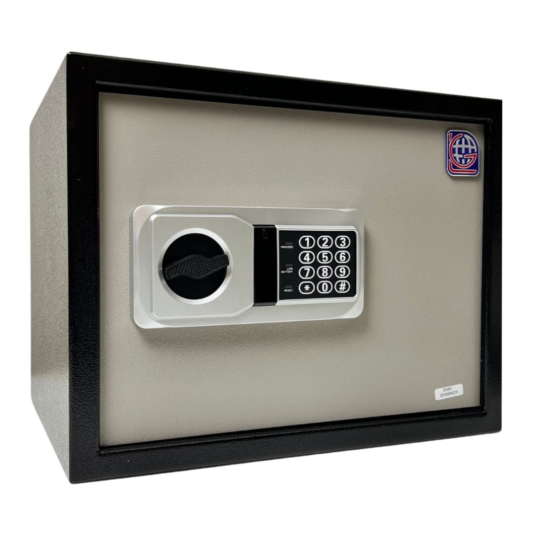 LG Safe - 30 NEK GRAY