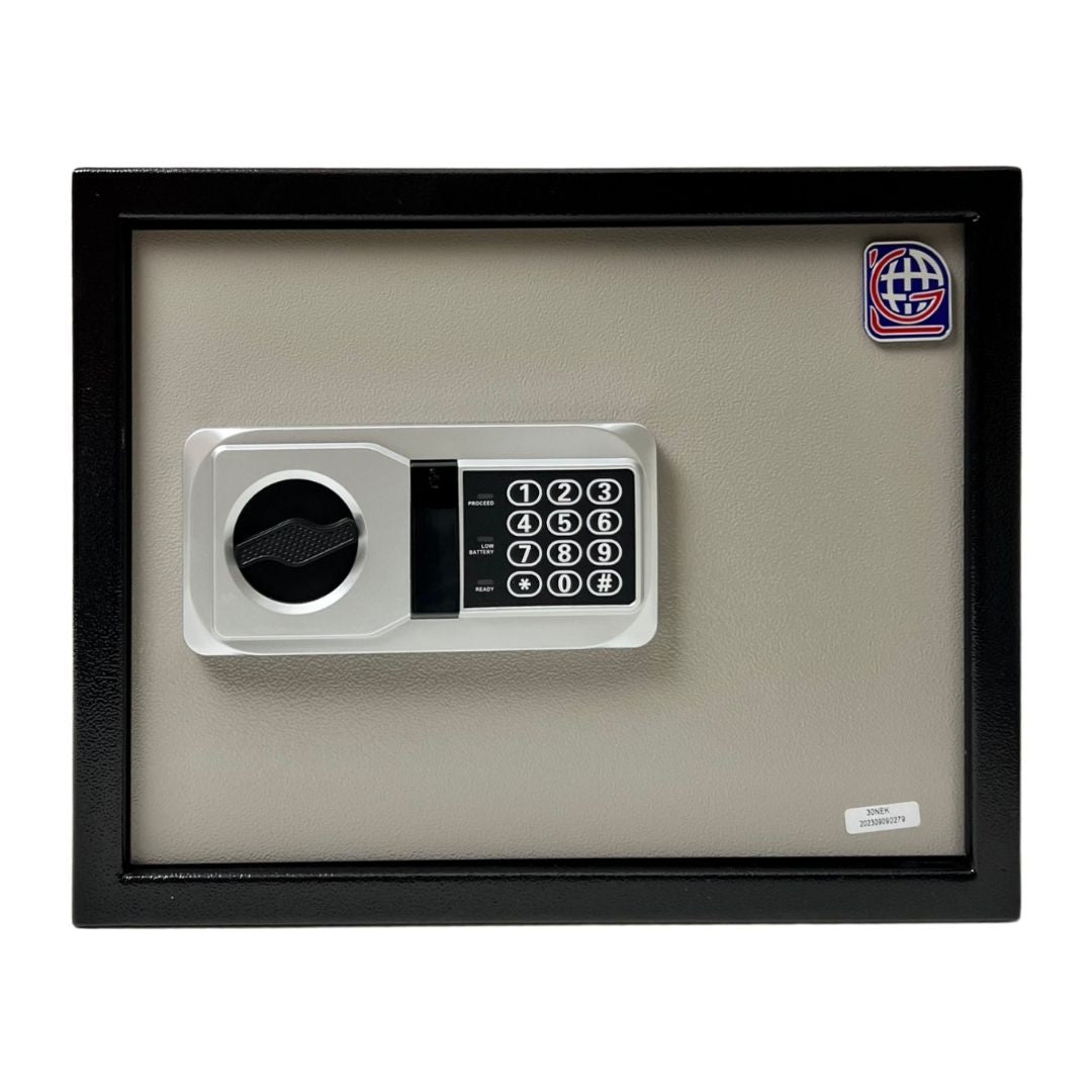 LG Safe - 30 NEK GRAY