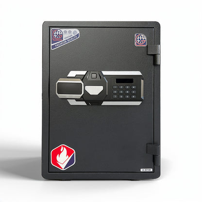 LGP53 F SAFE