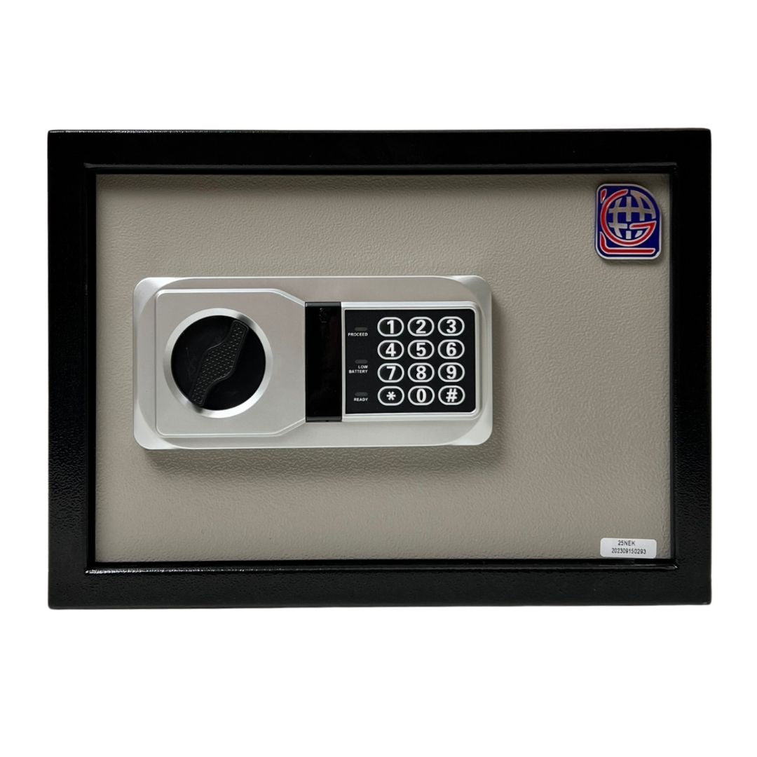 LG Safe - 25 NEK GRAY