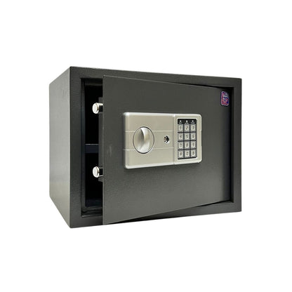 LG Safe - 30 LGK GRAY