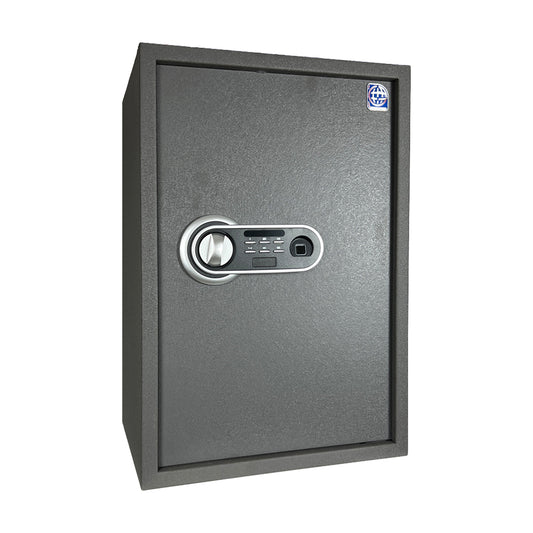 LG Safe - 60 FPC Gray