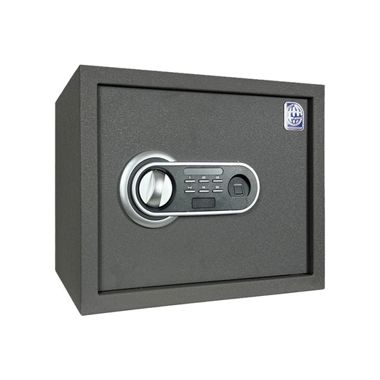 LG Safe - 30 FPC Gray