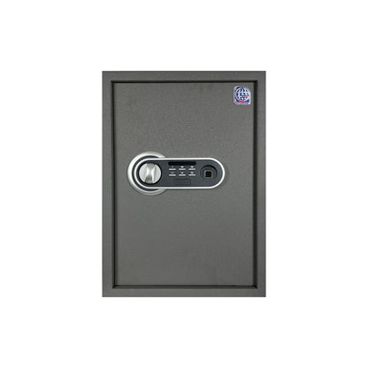 LG Safe - 50 FPC Gray